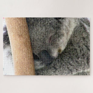 Puzzle sueño de koala