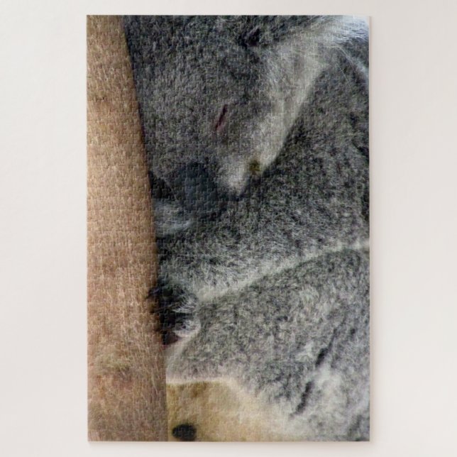 Puzzle sueño de koala (Vertical)