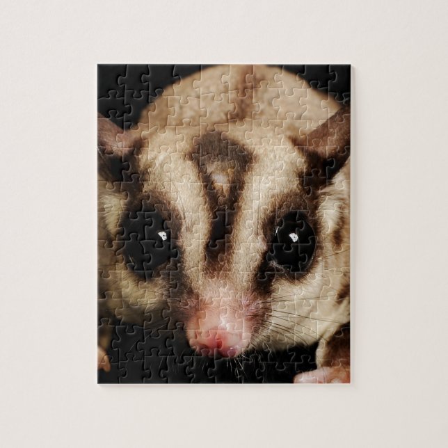 Puzzle Sugar Glider (Vertical)