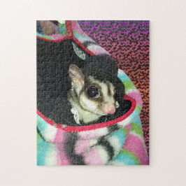 Puzzle Sugar Glider Wearing a Hat