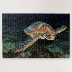 Puzzle Sulawesi  Tortuga del Mar Verde