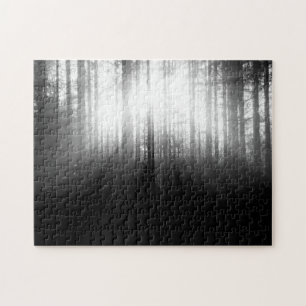 Puzzle Sun que brilla a través de árboles en el bosque
