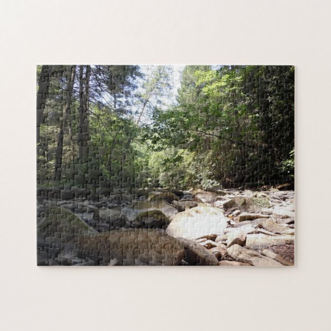 Puzzle Sun y sombra en una cama de cala (Horizontal)