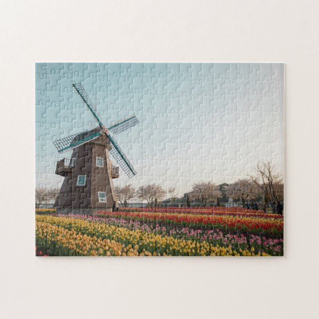 Puzzle Suncheon Bay The Dutch Garden Windmill Tulip Jigsa (Horizontal)