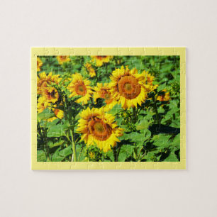 Puzzle Sunflower