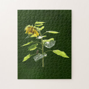 Puzzle Sunflower y Sparrow
