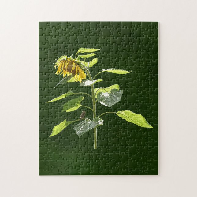 Puzzle Sunflower y Sparrow (Vertical)