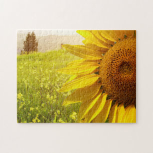 Puzzle Sunflowers de Toscana