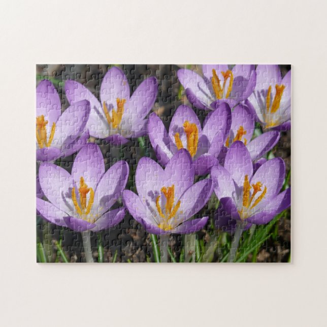 Puzzle Sunny Purple Crocuses (Horizontal)