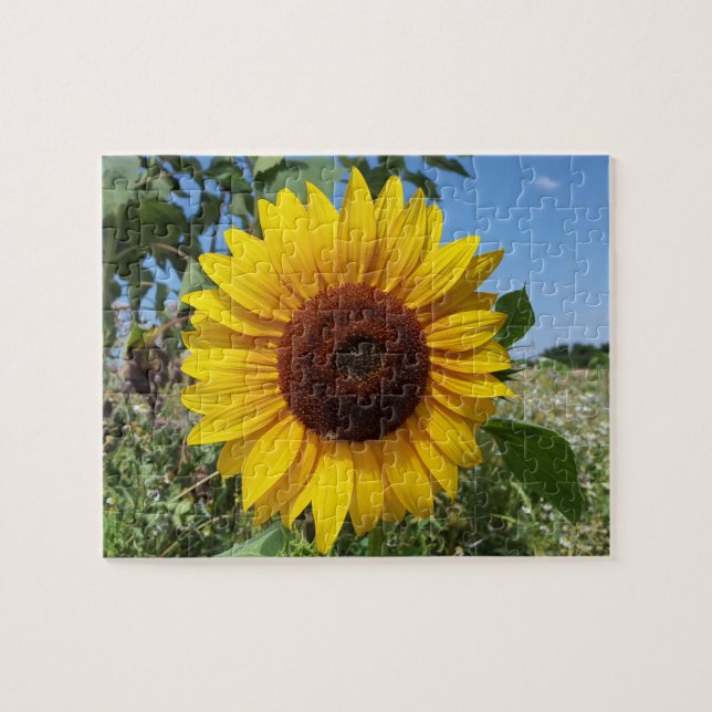 Puzzle Sunny Sunflower (Horizontal)