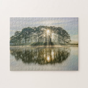 Puzzle Sunray de la isla del pino