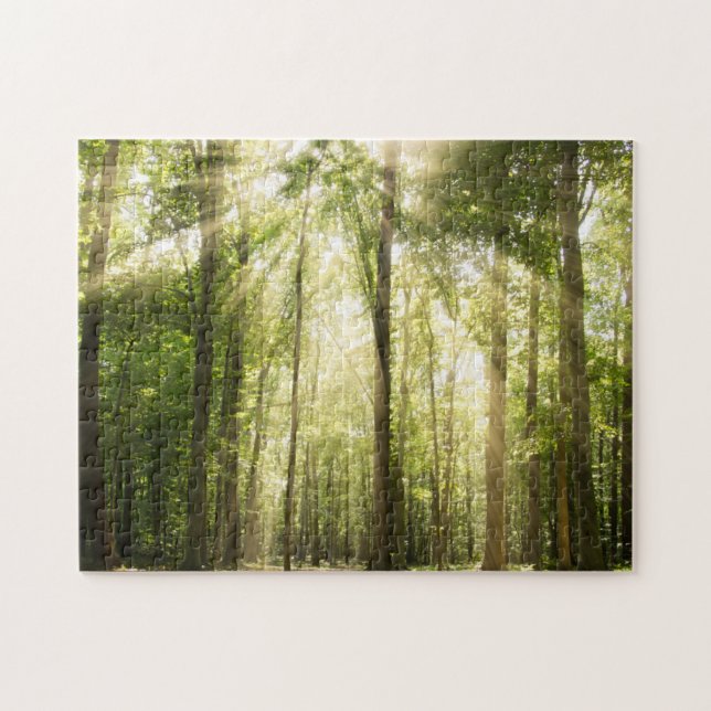 Puzzle Sunrays a través de copas (Horizontal)