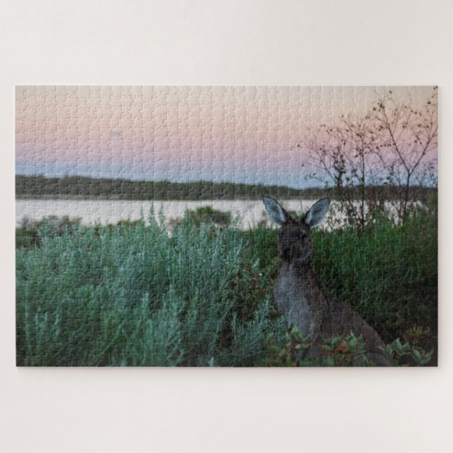 Puzzle Sunset canguro en el lago Australia, 1014 piezas (Horizontal)
