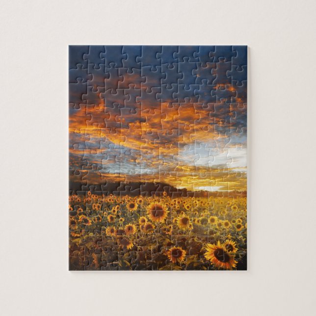 Puzzle Sunset Sunflowers Field (Vertical)