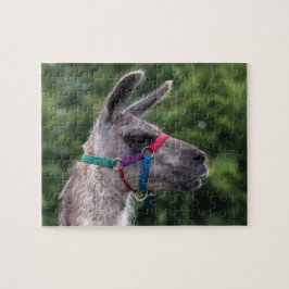 Puzzle Superioridad de Llama