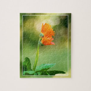 Puzzle Support One Another