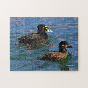 Puzzle Surf Scoter Ducks macho y hembra en el muelle