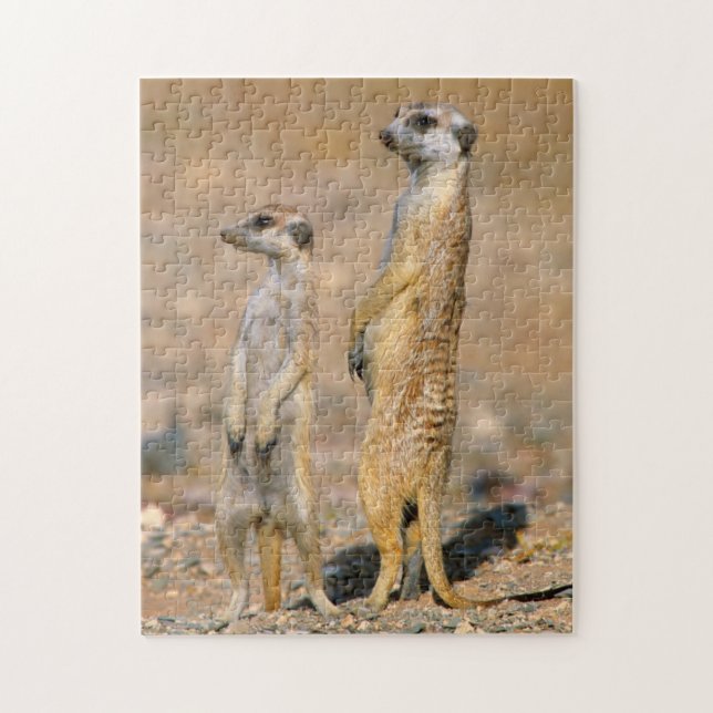Puzzle Suriatas centinelas (Suricata suricatta), Karas (Vertical)