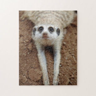 Puzzle Suricata (Suricata Suricatta) Enfriándose