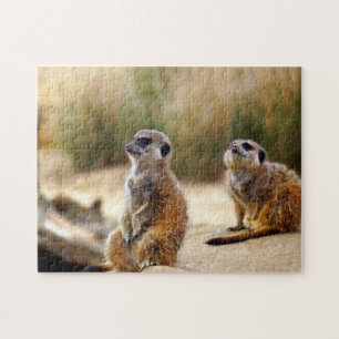 Puzzle Suricatas.