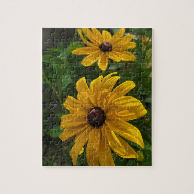 Puzzle Susan Black-Eyed (Vertical)