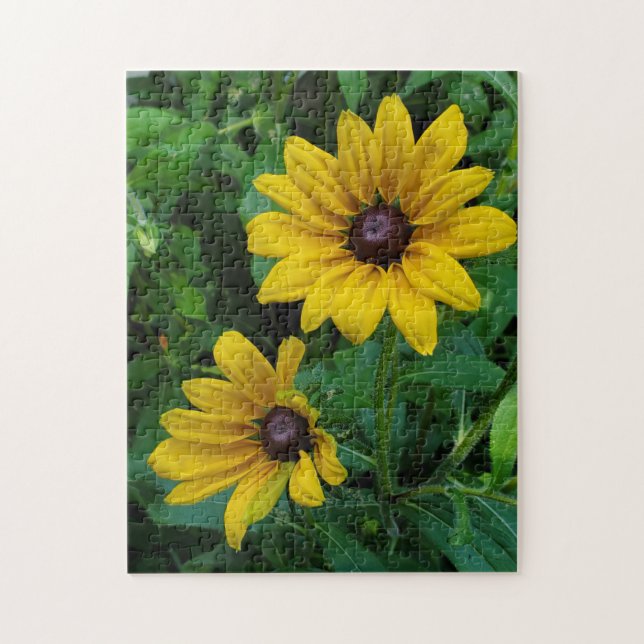Puzzle Susans de ojos negros (Vertical)