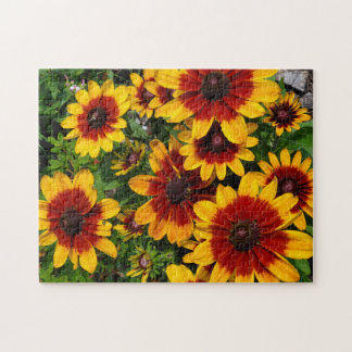 Puzzle Susans de ojos negros