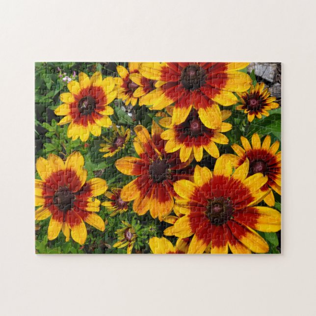 Puzzle Susans de ojos negros (Horizontal)