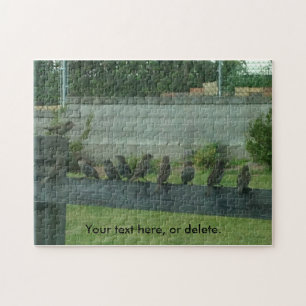 Puzzle Suspende a los pájaros en un tren sus palabras des