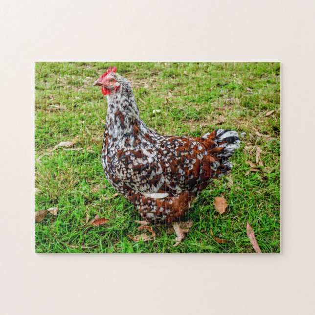 Puzzle Sussex Específico Calico Chicken Hen (Horizontal)