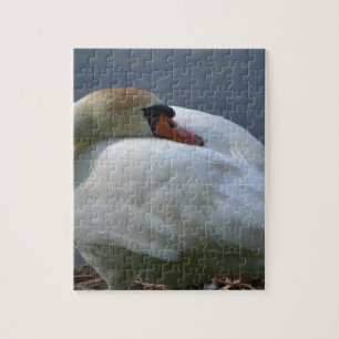 Puzzle Swan