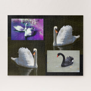 Puzzle Swans