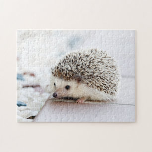 Puzzle Sweet Baby Hedgehog