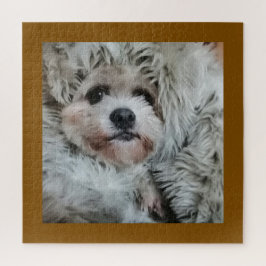 Puzzle Sweet dog, puppy