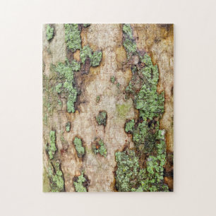 Puzzle Sycamore Tree Bark Moss Lichen