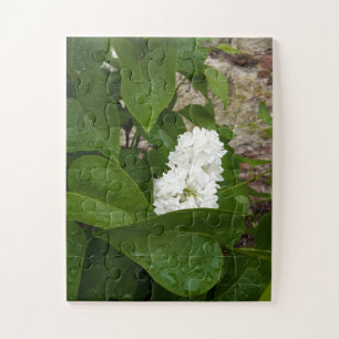 Puzzle Syringa, Flor blanca de Lilac con gotas de lluvia