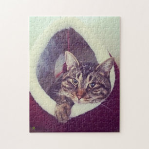 Puzzle Tabby Kitty En Hut Fotografía De Cierre