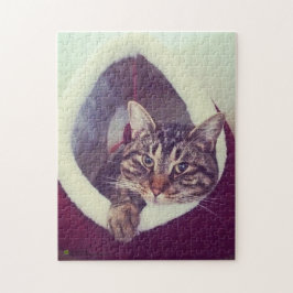 Puzzle Tabby Kitty In Hut Close-Up Photograph