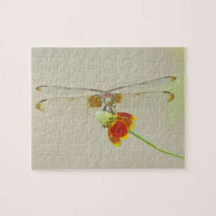 Puzzle Tachuela ajedrezada (Dythemis fugax) en Mexicano