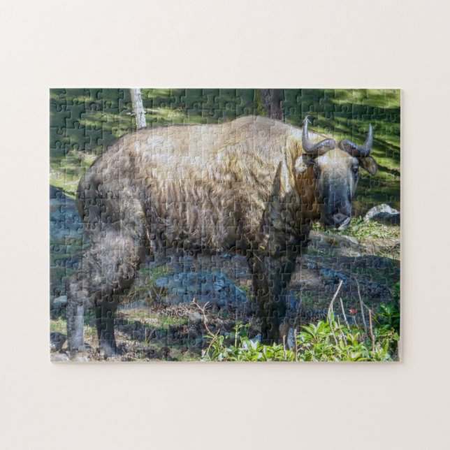 Puzzle Takin, animal nacional de Bután - Himalaya, Asia (Horizontal)