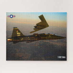 Puzzle TALÓN T-38C (16x20 pulgadas)