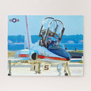 Puzzle TALÓN T-38C (16x20 pulgadas)