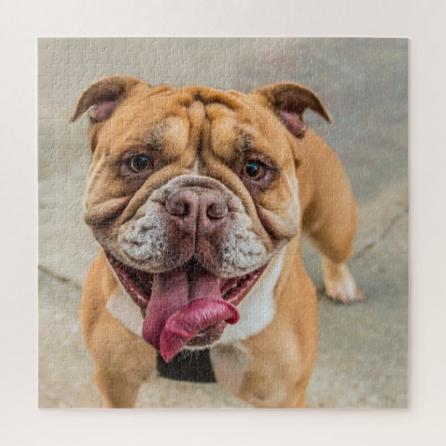 Puzzle Tan Happy Dog Photo (Vertical)