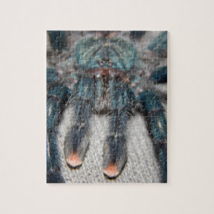 Puzzle tarantula azul