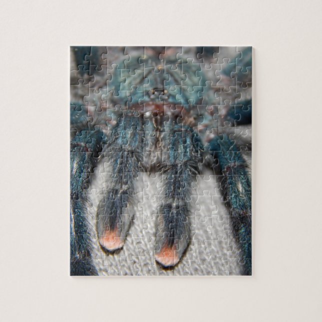 Puzzle tarantula azul (Vertical)