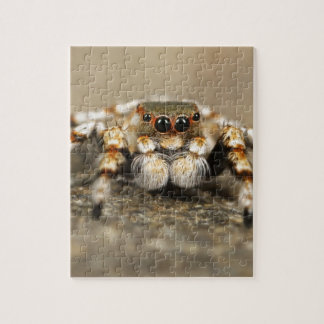 Puzzle Tarantula Jumping Bird Spider accesorios impresion