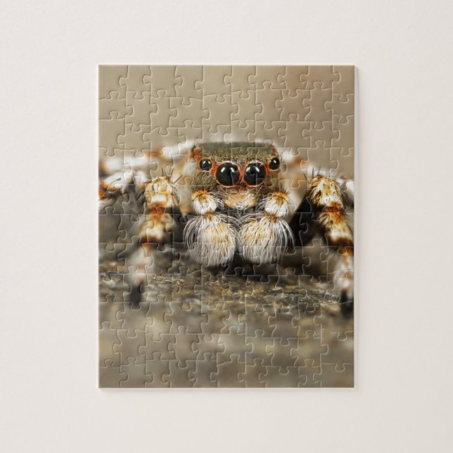 Puzzle Tarantula Jumping Bird Spider accesorios impresion (Vertical)