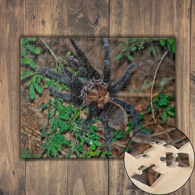 Puzzle Tarantula Marrón de Texas (Texas Brown Tarantula Jigsaw Puzzle)