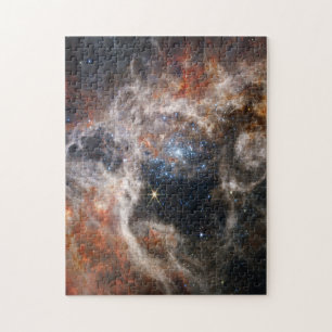 Puzzle Tarantula Nebula Image from JWST