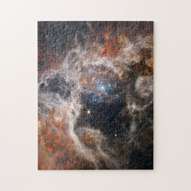 Puzzle Tarantula Nebula Image from JWST (Vertical)